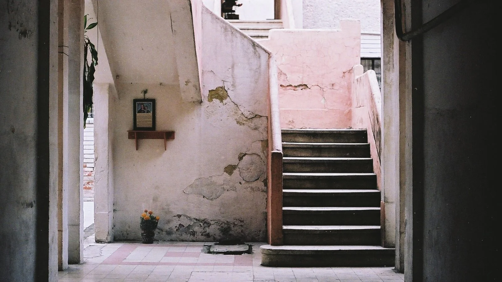 Kodak Portra 400 color-negative film photograph